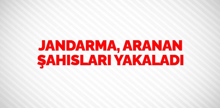 JANDARMA, ARANAN ŞAHISLARI YAKALADI