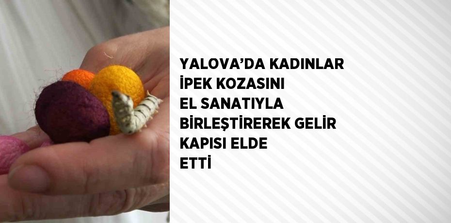 YALOVA’DA KADINLAR İPEK KOZASINI EL SANATIYLA BİRLEŞTİREREK GELİR KAPISI ELDE ETTİ