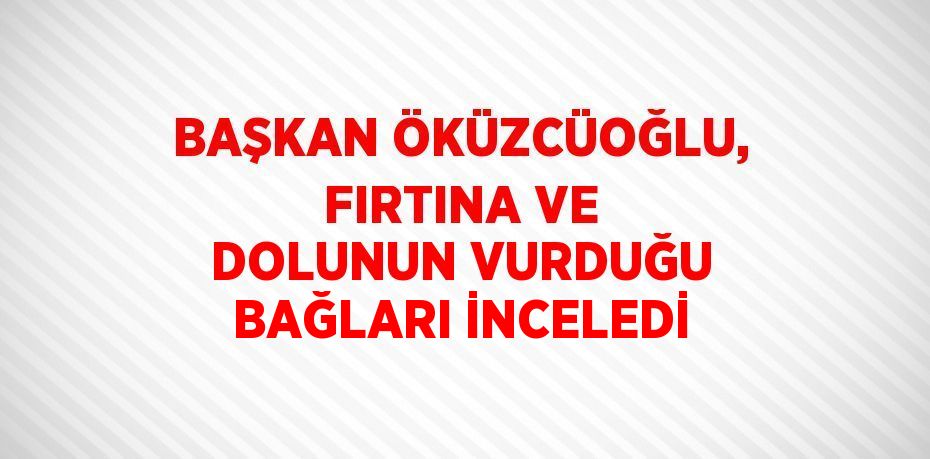 BAŞKAN ÖKÜZCÜOĞLU, FIRTINA VE DOLUNUN VURDUĞU BAĞLARI İNCELEDİ