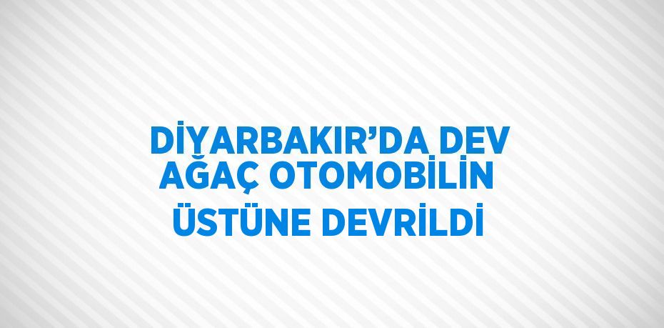 DİYARBAKIR’DA DEV AĞAÇ OTOMOBİLİN ÜSTÜNE DEVRİLDİ