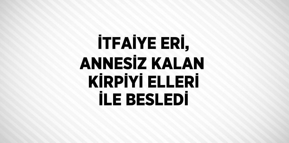 İTFAİYE ERİ, ANNESİZ KALAN KİRPİYİ ELLERİ İLE BESLEDİ