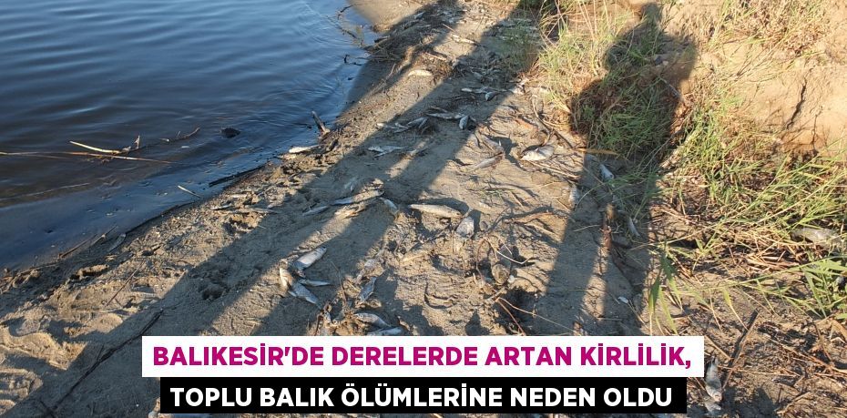 BALIKESİR’DE DERELERDE ARTAN KİRLİLİK, TOPLU BALIK ÖLÜMLERİNE NEDEN OLDU