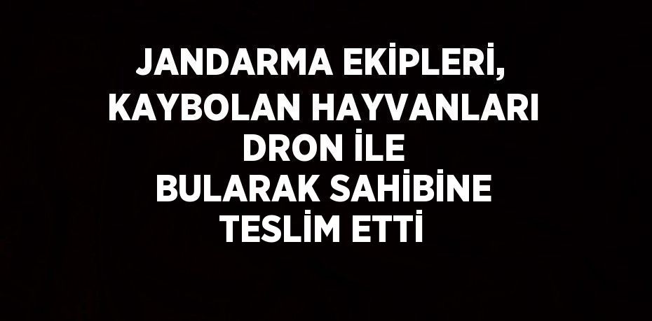 JANDARMA EKİPLERİ, KAYBOLAN HAYVANLARI DRON İLE BULARAK SAHİBİNE TESLİM ETTİ