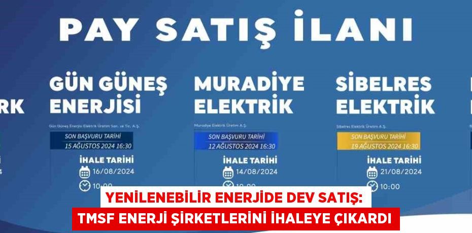 YENİLENEBİLİR ENERJİDE DEV SATIŞ: TMSF ENERJİ ŞİRKETLERİNİ İHALEYE ÇIKARDI