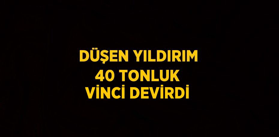 DÜŞEN YILDIRIM 40 TONLUK VİNCİ DEVİRDİ