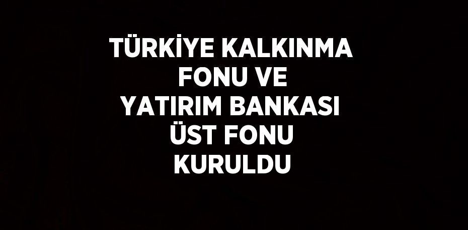 TÜRKİYE KALKINMA FONU VE YATIRIM BANKASI ÜST FONU KURULDU