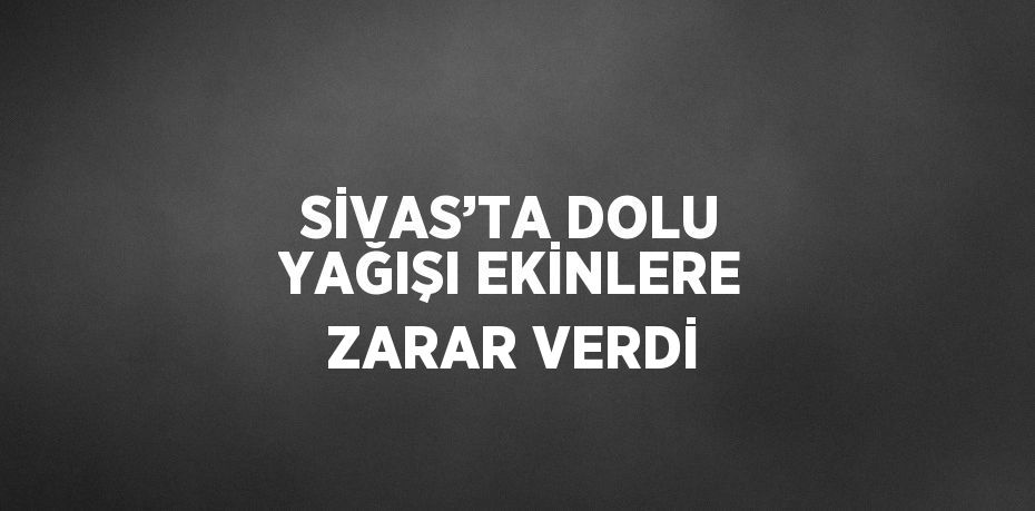 SİVAS’TA DOLU YAĞIŞI EKİNLERE ZARAR VERDİ