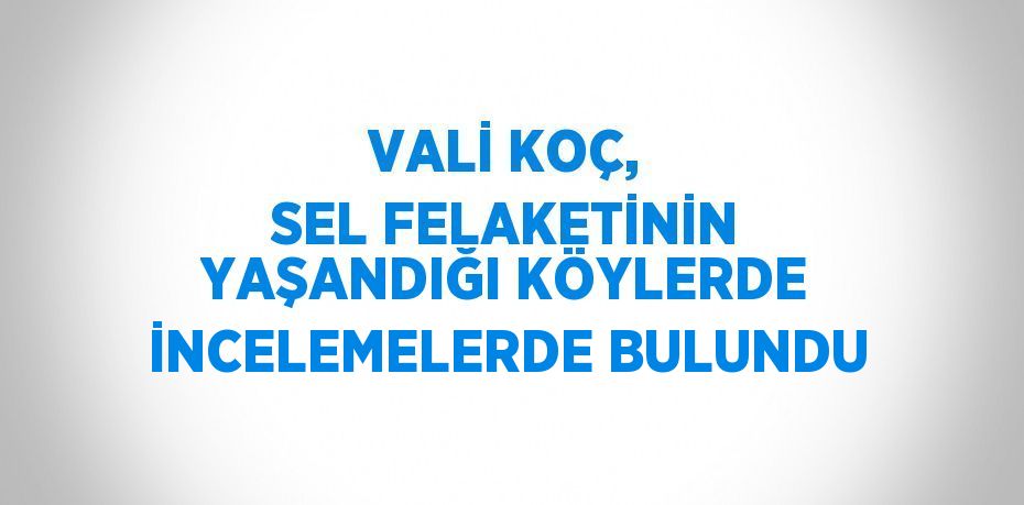 VALİ KOÇ, SEL FELAKETİNİN YAŞANDIĞI KÖYLERDE İNCELEMELERDE BULUNDU