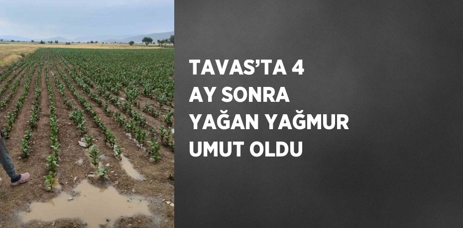 TAVAS’TA 4 AY SONRA YAĞAN YAĞMUR UMUT OLDU