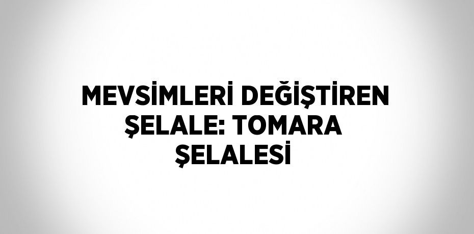 MEVSİMLERİ DEĞİŞTİREN ŞELALE: TOMARA ŞELALESİ