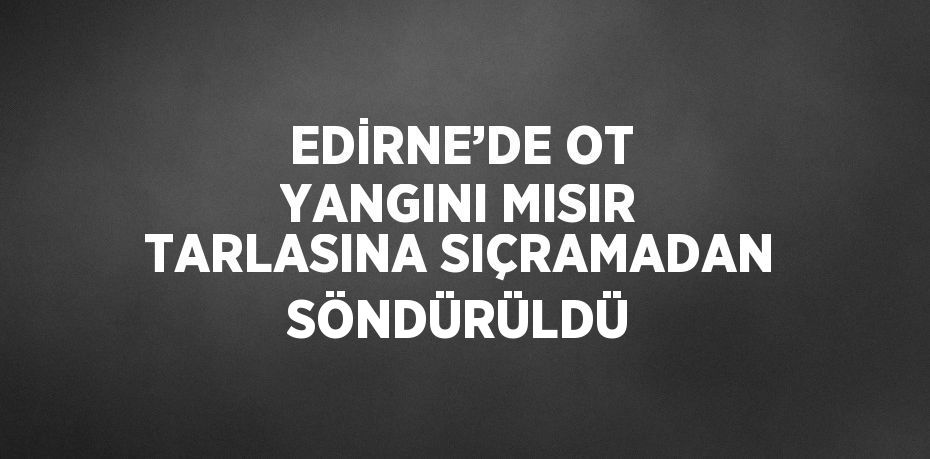 EDİRNE’DE OT YANGINI MISIR TARLASINA SIÇRAMADAN SÖNDÜRÜLDÜ