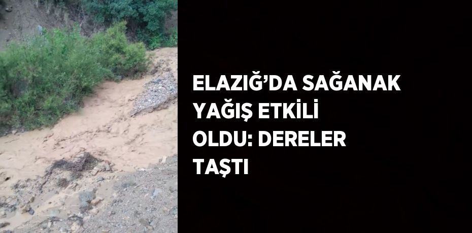 ELAZIĞ’DA SAĞANAK YAĞIŞ ETKİLİ OLDU: DERELER TAŞTI