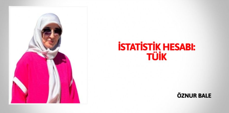 İSTATİSTİK HESABI: TÜİK