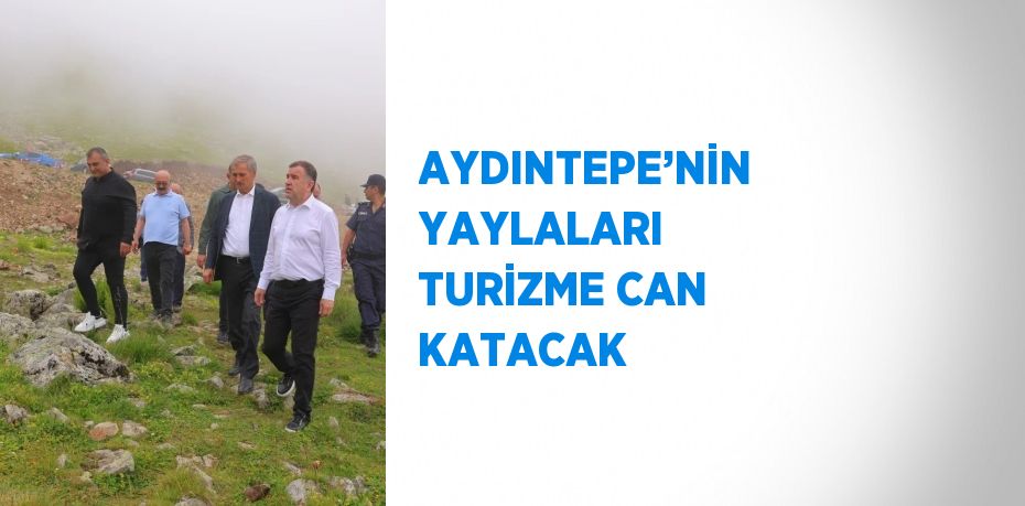 AYDINTEPE’NİN YAYLALARI TURİZME CAN KATACAK