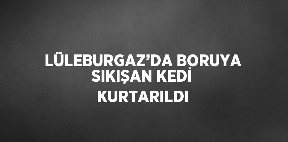 LÜLEBURGAZ’DA BORUYA SIKIŞAN KEDİ KURTARILDI