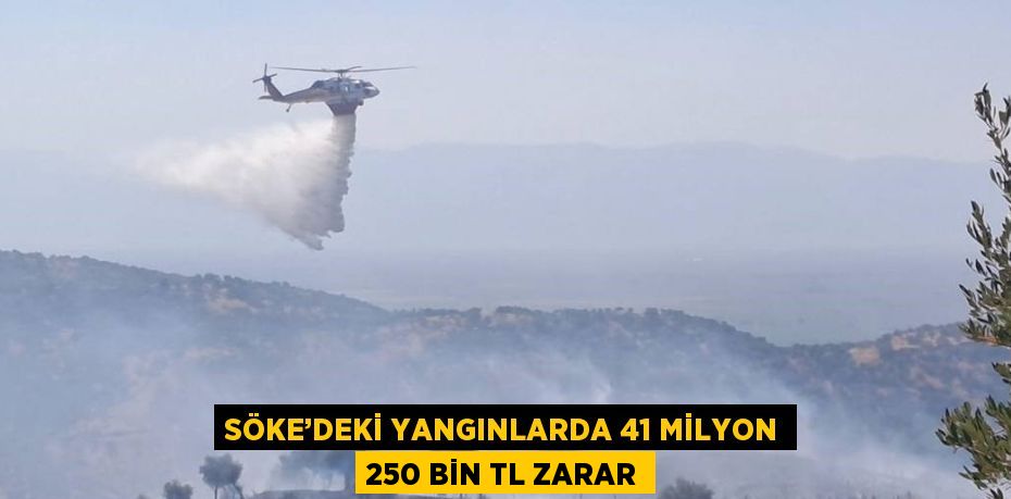 SÖKE’DEKİ YANGINLARDA 41 MİLYON 250 BİN TL ZARAR