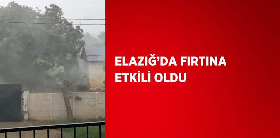 ELAZIĞ’DA FIRTINA ETKİLİ OLDU