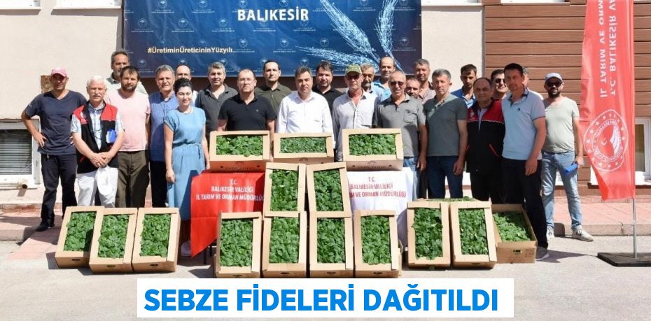 SEBZE FİDELERİ DAĞITILDI