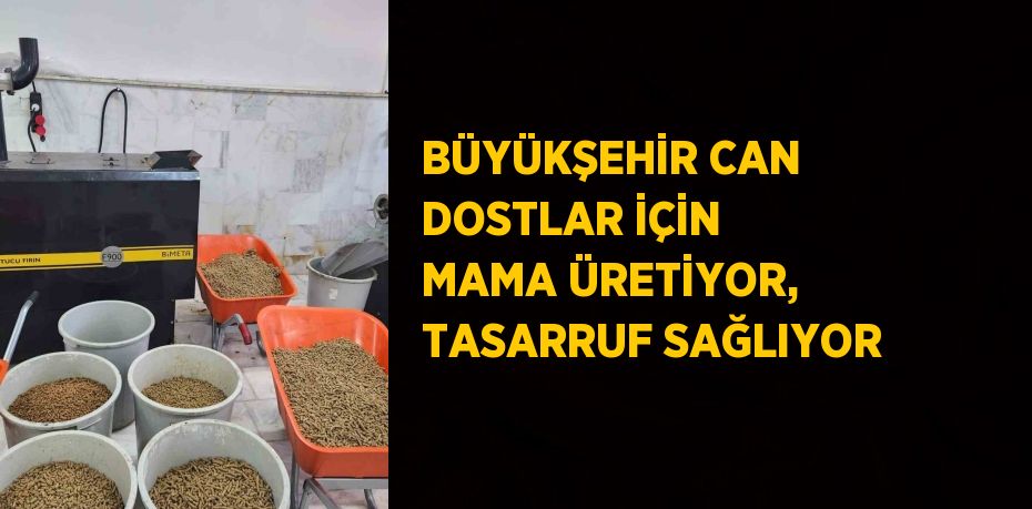 BÜYÜKŞEHİR CAN DOSTLAR İÇİN MAMA ÜRETİYOR, TASARRUF SAĞLIYOR