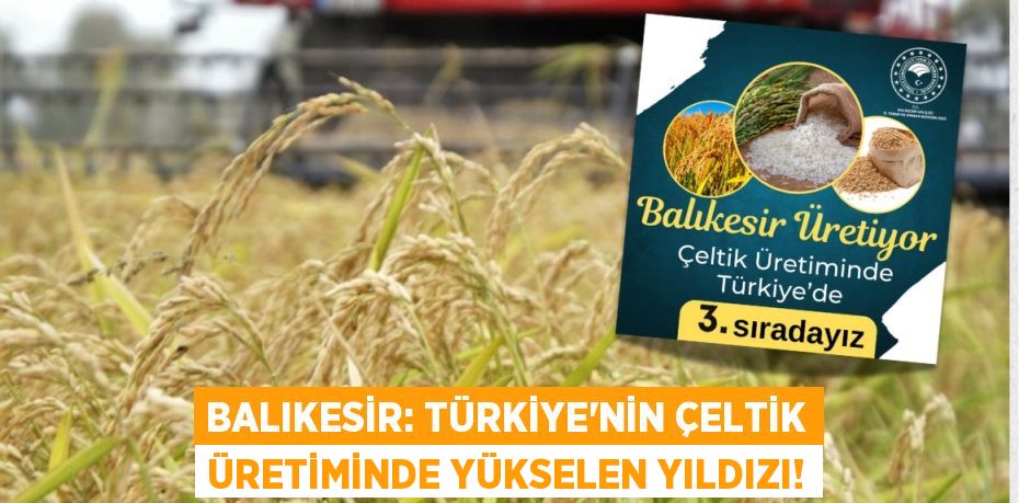 Balıkesir: Türkiye'nin Çeltik Üretiminde Yükselen Yıldızı!