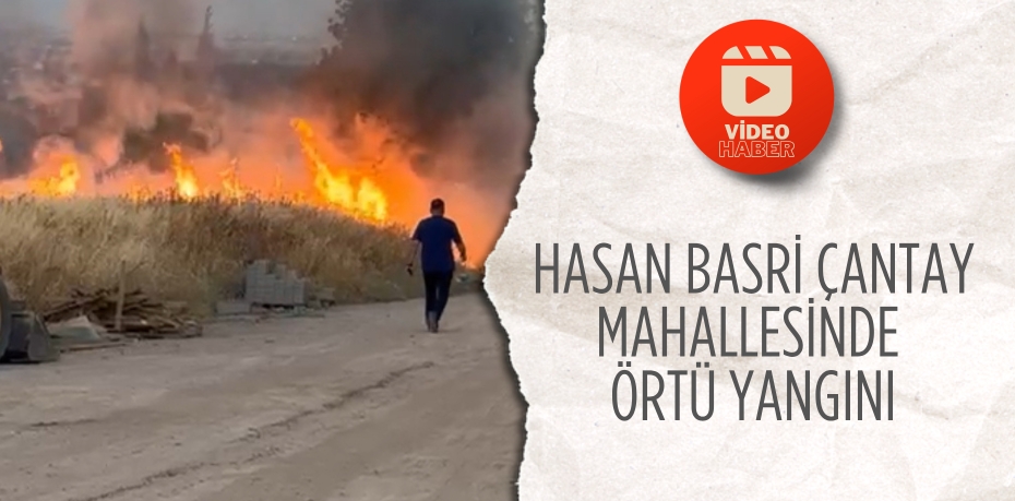 Hasan Basri Çantay Mahallesinde örtü yangını