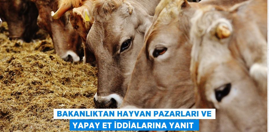 Bakanlıktan Hayvan Pazarları ve Yapay Et İddialarına Yanıt