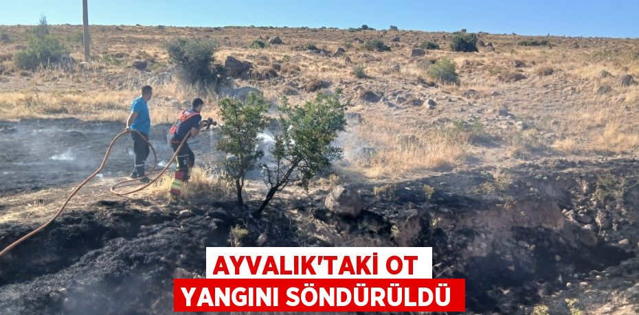 Ayvalık’taki ot yangını söndürüldü