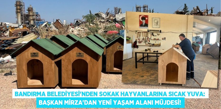 Bandırma Belediyesi'nden Sokak Hayvanlarına Sıcak Yuva: Başkan Mirza'dan Yeni Yaşam Alanı Müjdesi!