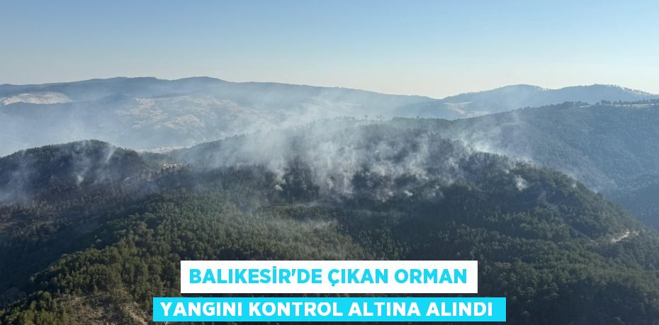 BALIKESİR'DE ÇIKAN ORMAN YANGINI KONTROL ALTINA ALINDI
