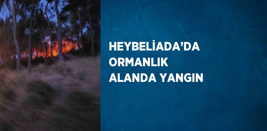 HEYBELİADA’DA ORMANLIK ALANDA YANGIN