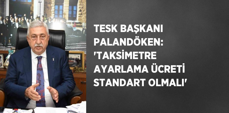 TESK BAŞKANI PALANDÖKEN: 'TAKSİMETRE AYARLAMA ÜCRETİ STANDART OLMALI'