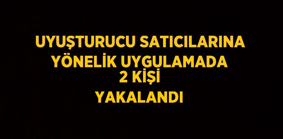 UYUŞTURUCU SATICILARINA YÖNELİK UYGULAMADA 2 KİŞİ YAKALANDI