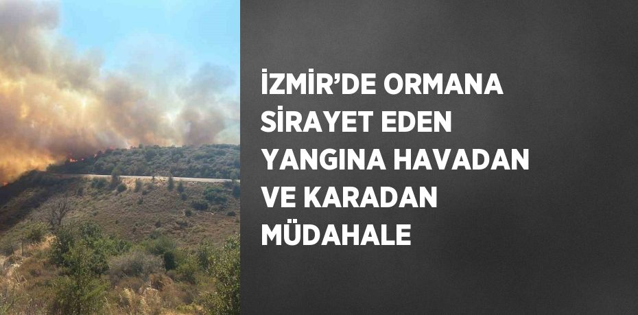 İZMİR’DE ORMANA SİRAYET EDEN YANGINA HAVADAN VE KARADAN MÜDAHALE