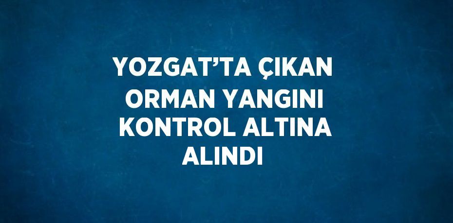 YOZGAT’TA ÇIKAN ORMAN YANGINI KONTROL ALTINA ALINDI