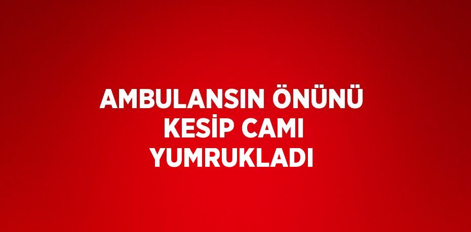 AMBULANSIN ÖNÜNÜ KESİP CAMI YUMRUKLADI