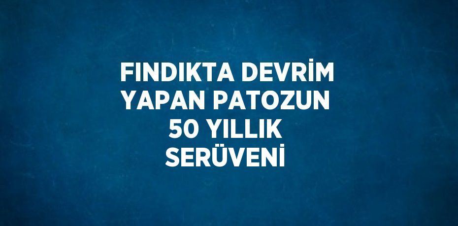 FINDIKTA DEVRİM YAPAN PATOZUN 50 YILLIK SERÜVENİ