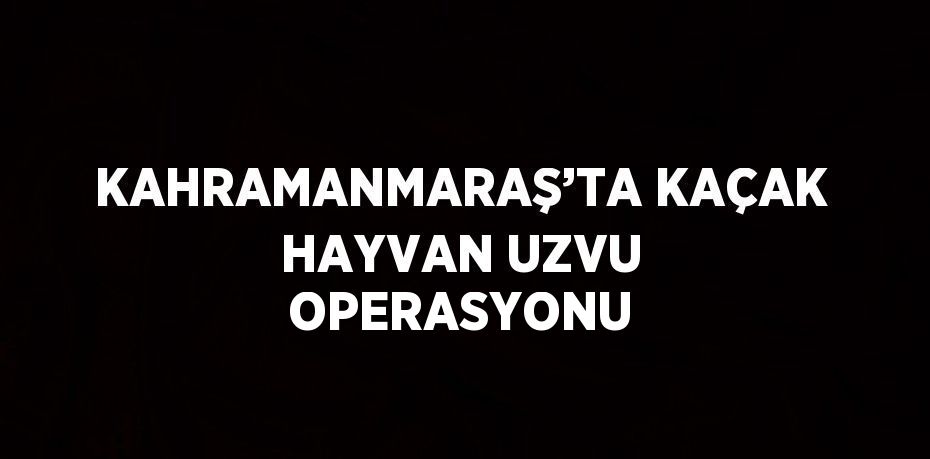 KAHRAMANMARAŞ’TA KAÇAK HAYVAN UZVU OPERASYONU