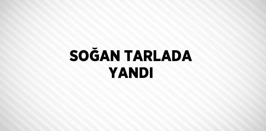 SOĞAN TARLADA YANDI