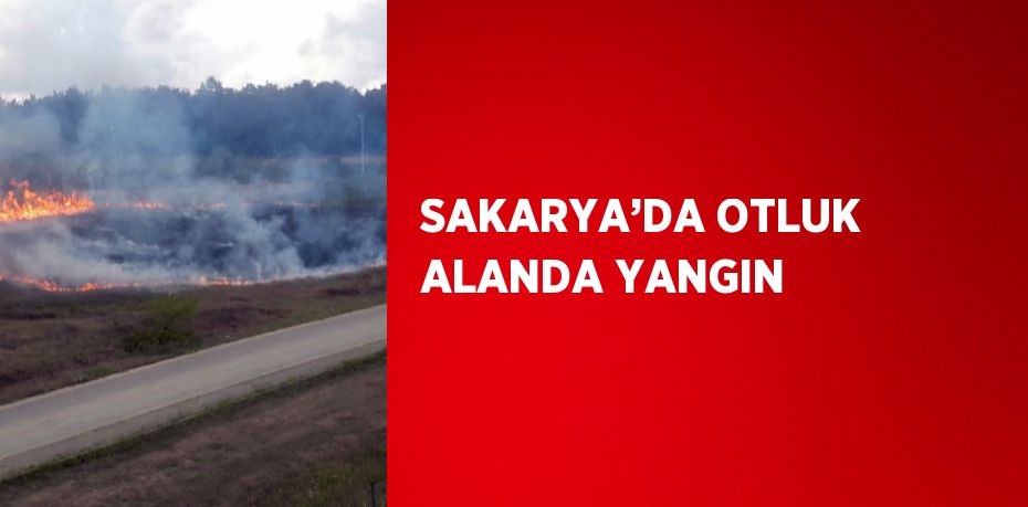 SAKARYA’DA OTLUK ALANDA YANGIN