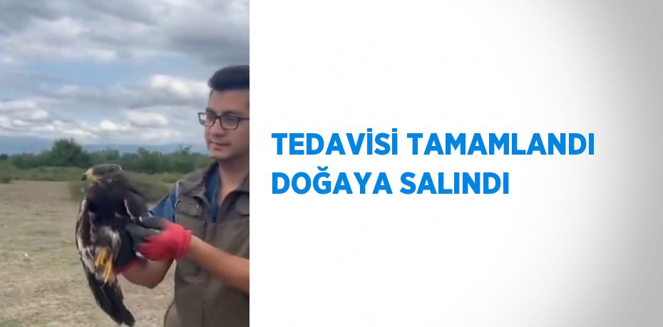 TEDAVİSİ TAMAMLANDI DOĞAYA SALINDI