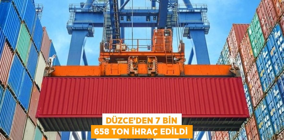 DÜZCE’DEN 7 BİN 658 TON İHRAÇ EDİLDİ