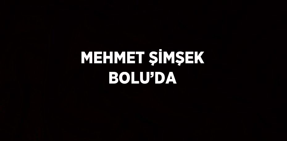 MEHMET ŞİMŞEK BOLU’DA