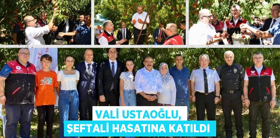 VALİ USTAOĞLU, ŞEFTALİ HASATINA KATILDI