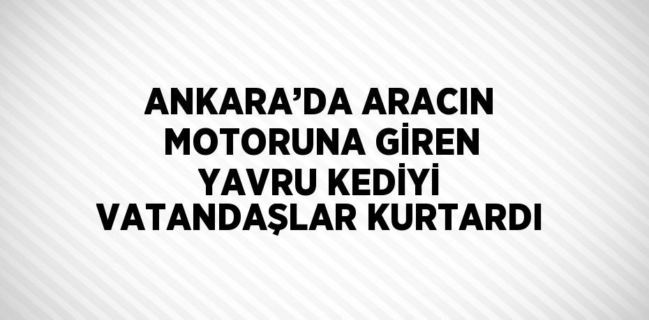 ANKARA’DA ARACIN MOTORUNA GİREN YAVRU KEDİYİ VATANDAŞLAR KURTARDI