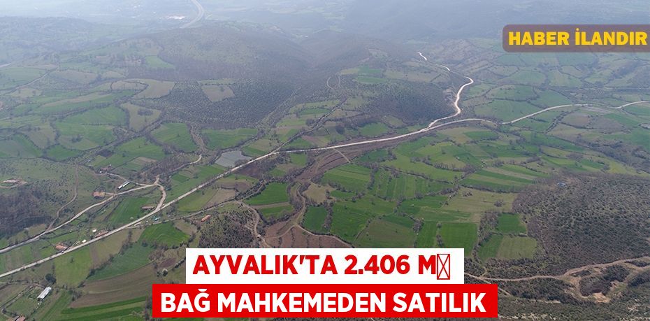 Ayvalık'ta 2.406 m² bağ mahkemeden satılık