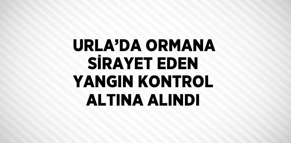 URLA’DA ORMANA SİRAYET EDEN YANGIN KONTROL ALTINA ALINDI