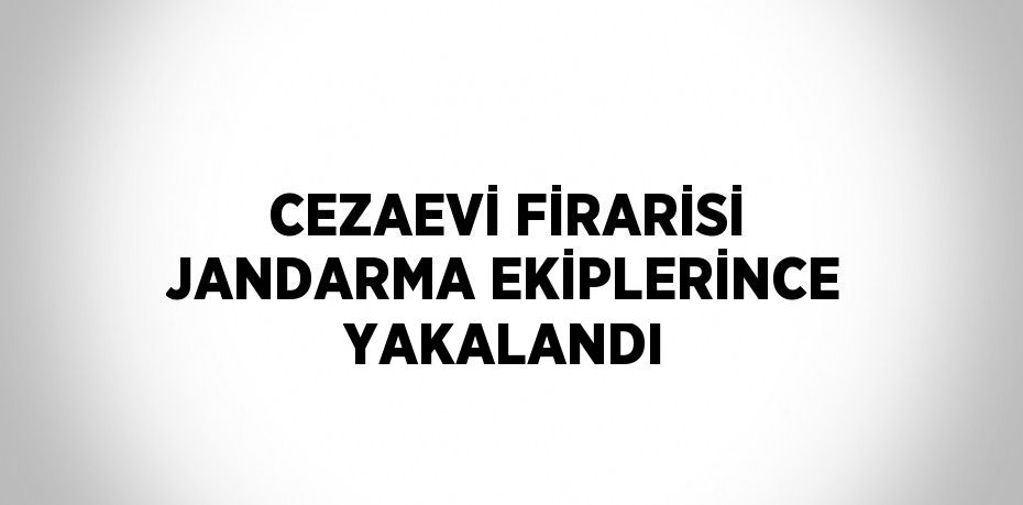 CEZAEVİ FİRARİSİ JANDARMA EKİPLERİNCE YAKALANDI