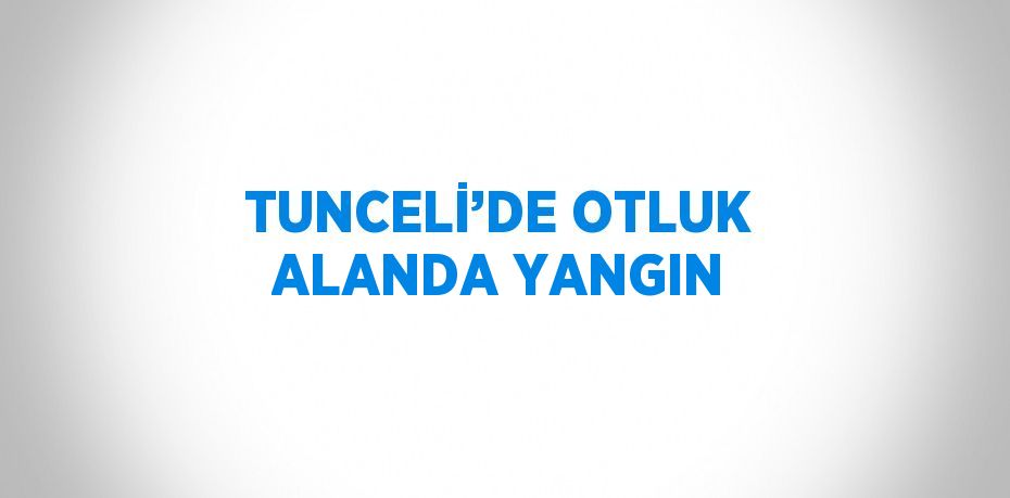 TUNCELİ’DE OTLUK ALANDA YANGIN