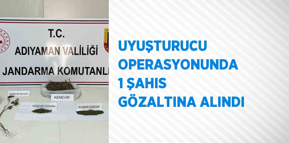 UYUŞTURUCU OPERASYONUNDA 1 ŞAHIS GÖZALTINA ALINDI