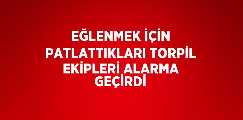 EĞLENMEK İÇİN PATLATTIKLARI TORPİL EKİPLERİ ALARMA GEÇİRDİ